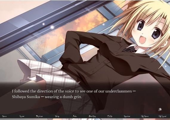 Miniature Garden EN Global Steam Digital Key