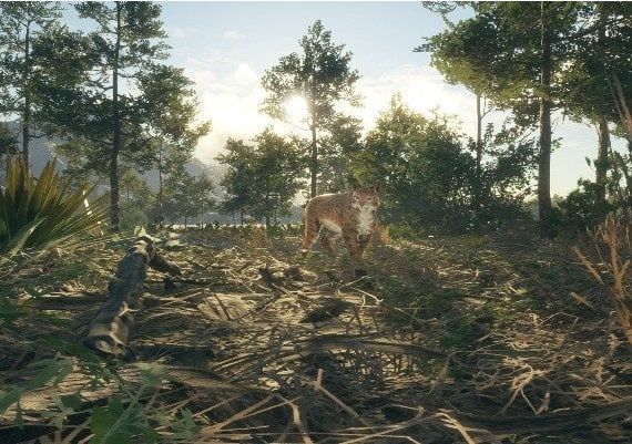 theHunter: Call of the Wild - Rancho del Arroyo DLC EN United Kingdom Xbox One/Series Digital Key