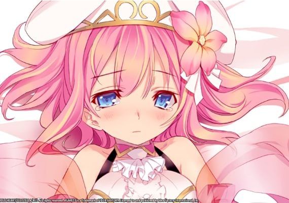 Record of Agarest War: Mariage EN/JA/ZH/ZH Global Steam Digital Key