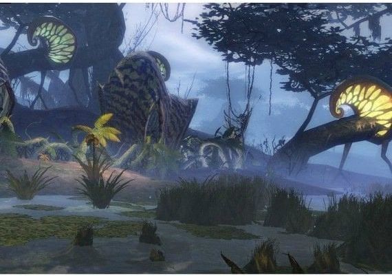 Guild Wars 2 Heroic Edition EN/DE/FR EU Official website Digital Key