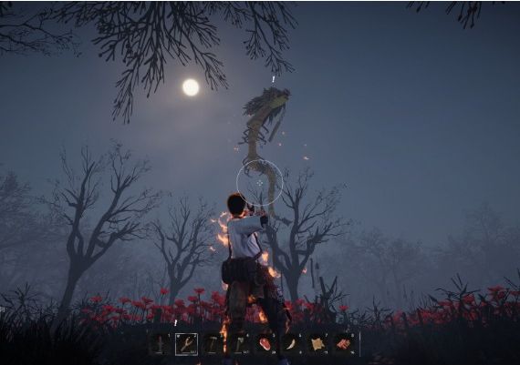 AsHes EN/JA/KO/ZH/ZH Global Steam Digital Key