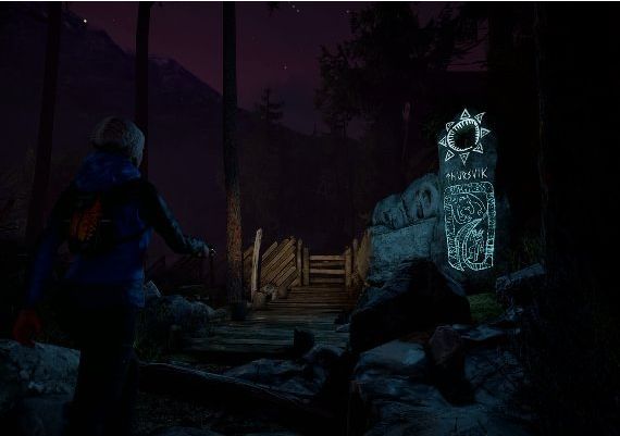 Through the Woods Collector's Edition EN/DE/FR/IT/NO/RU/ES Global Steam Digital Key