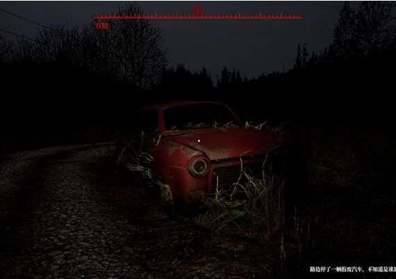 Borderline Homicide ZH Global Steam Digital Key