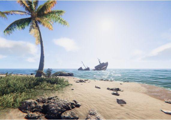 Project Castaway EN Global Steam Digital Key