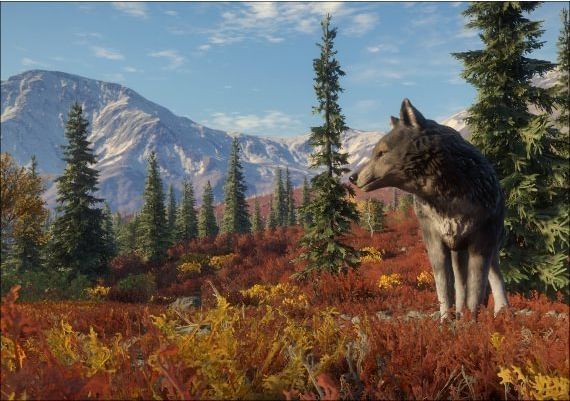 theHunter: Call of the Wild - Yukon Valley DLC EU Steam Digital Key