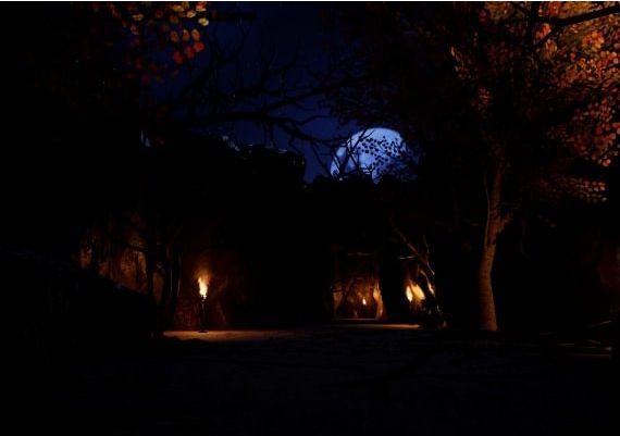 Tower of Fate EN Global Steam Digital Key