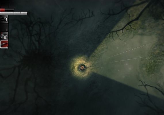 Darkwood Deluxe Edition Global Steam Digital Key