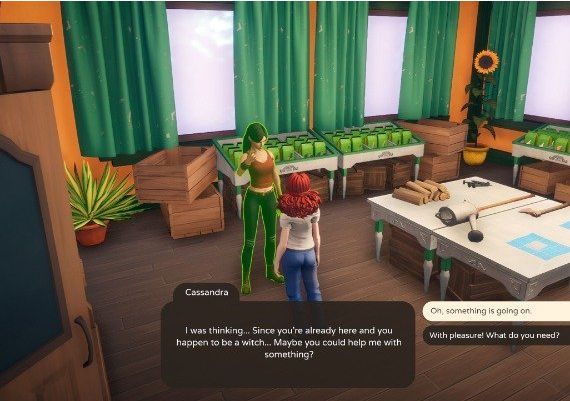 The Witch of Fern Island EN/PL Global Steam Digital Key