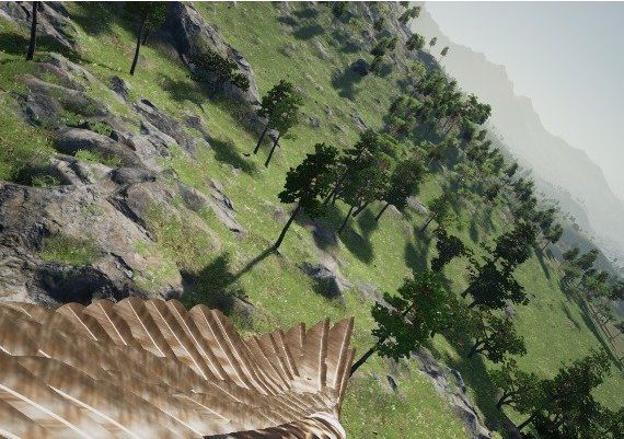 DreamFly VR Global Steam Digital Key