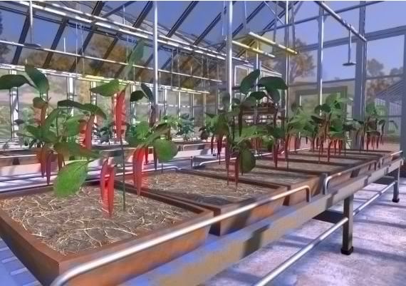 Farmer's Dynasty Argentina Xbox One/Series Digital Key