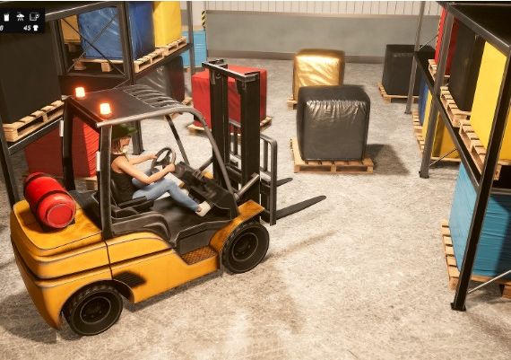 Denizen Global Steam Digital Key