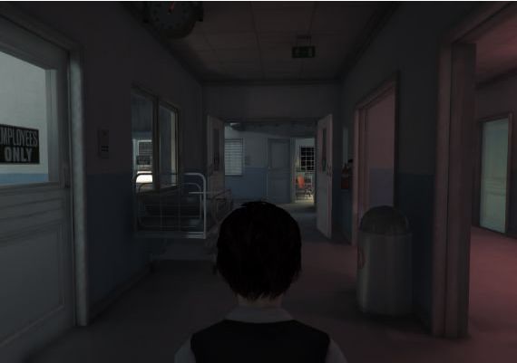 Lucius II EN/DE/FR/IT/RU/ES/TR/HU Global Steam Digital Key