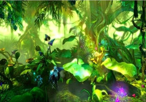 Trine 2: Complete Story EN/DE/FR/IT/PL Global Steam Digital Key