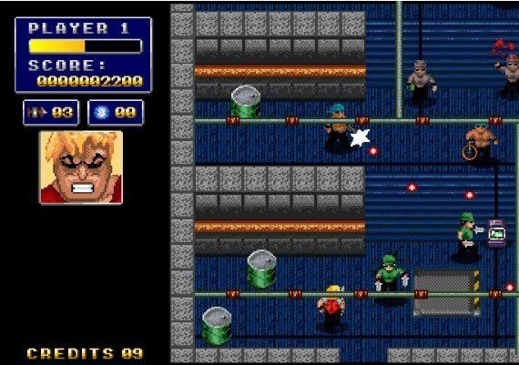 Thunderflash EN/DE/FR/IT/JA/ES EU Nintendo Switch Digital Key