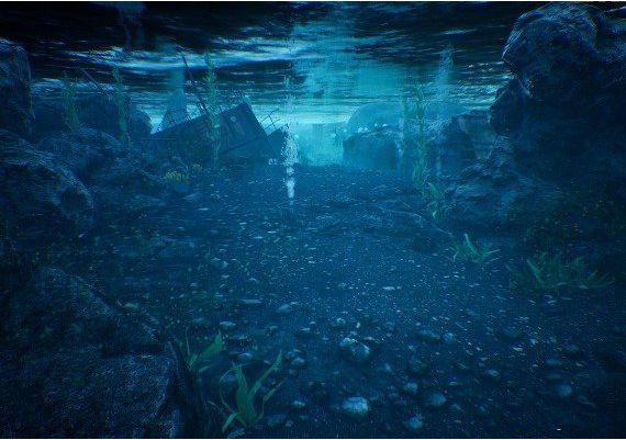 The Shore VR EN Global Steam Digital Key