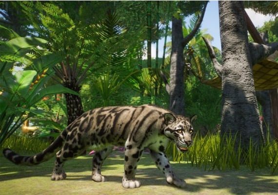 Planet Zoo Ultimate Edition EN EU Xbox Series Digital Key