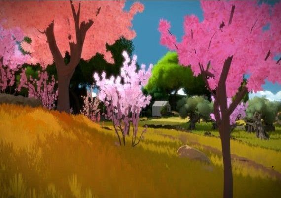 The Witness EN/DE/FR/IT/PL/CS Argentina Xbox One/Series Digital Key