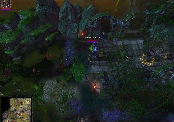 Dimensity EN Global Steam Digital Key