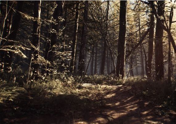 Blair Witch EU Steam Digital Key