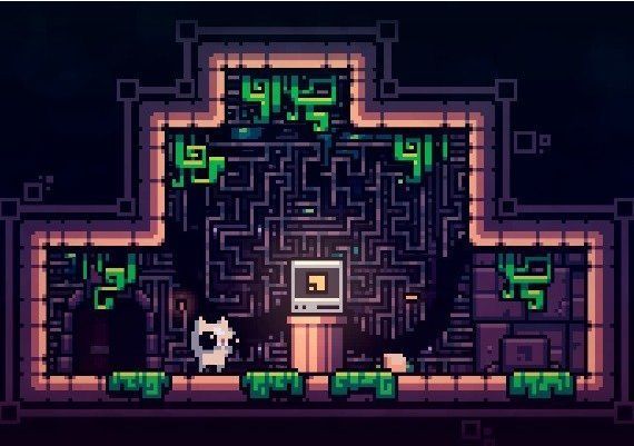 Reed - Remastered EN Argentina Xbox Series Digital Key