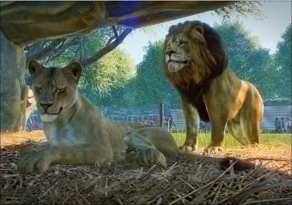 Planet Zoo - Bundle Premium Edition Global Steam Digital Key