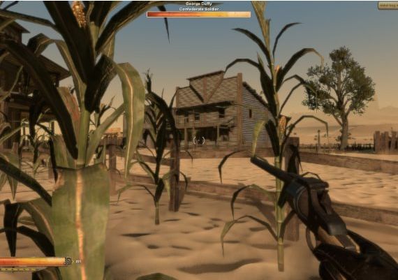 Sunset Rangers Global Steam Digital Key