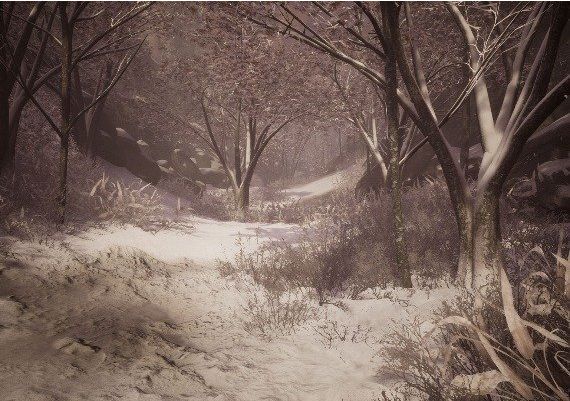 Drizzlepath: Deja Vu EN EU PS4/5 Digital Key