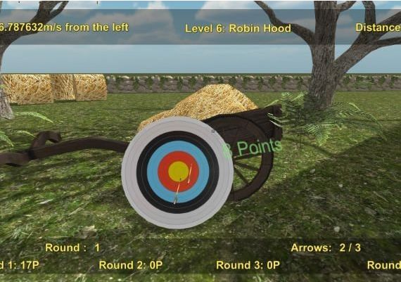 Precision Archery: Competitive EN Global Steam Digital Key