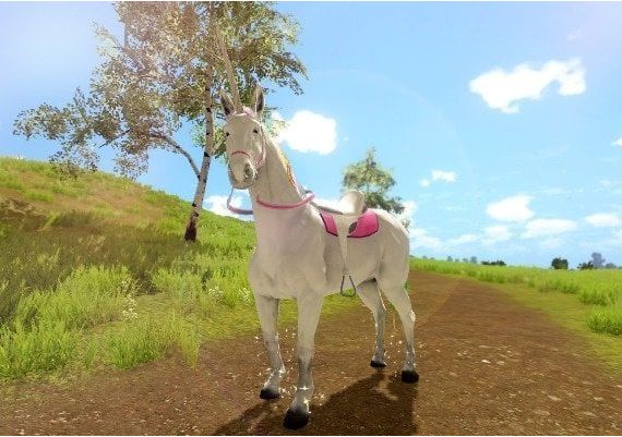 The Unicorn Princess EN EU Nintendo Switch Digital Key