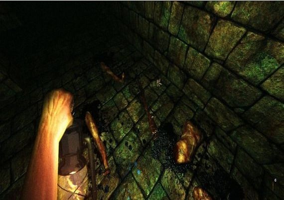 Overcast: Walden and the Werewolf EN Global Steam Digital Key