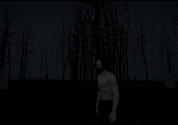 With in the Obscurity EN/JA/ZH/ZH Global Steam Digital Key