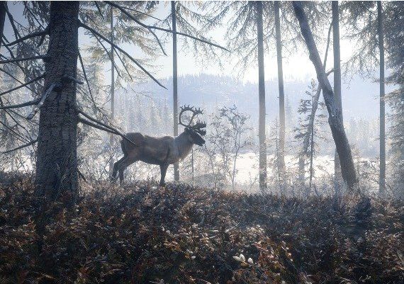 theHunter: Call of the Wild - Silver Bundle EN Argentina Xbox One/Series Digital Key