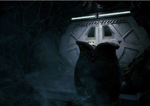 Aliens: Fireteam Elite North and Latin America Steam Digital Key