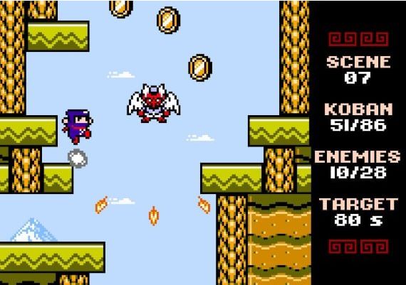 Ninja Senki DX EN/FR Global Steam Digital Key