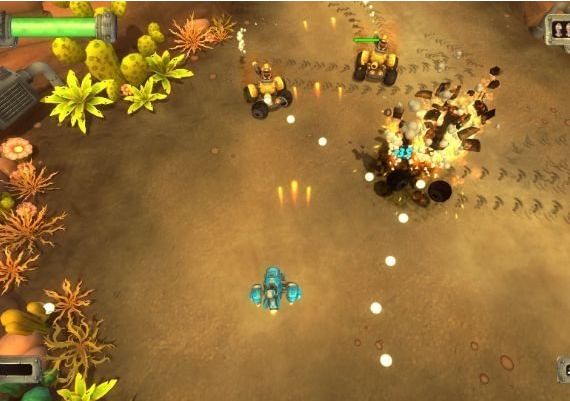 Blue Rider EN Global Steam Digital Key