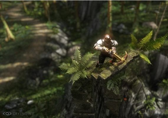 Wolcen: Lords of Mayhem EN/DE/FR Turkey Steam Digital Key