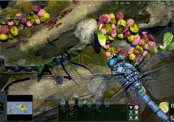 Empires of the Undergrowth EN/DE/RU/ZH/ES EU Steam Digital Key