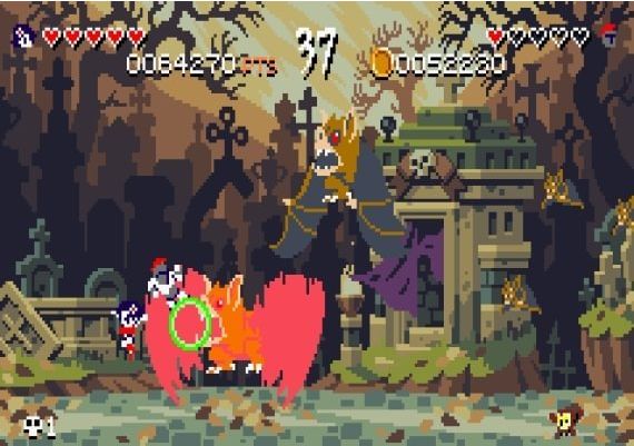 Curses 'N Chaos EN/FR Global Steam Digital Key