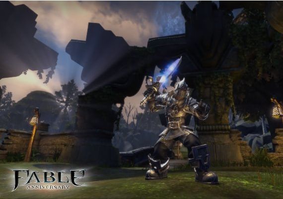 Fable Anniversary Global Steam Digital Key