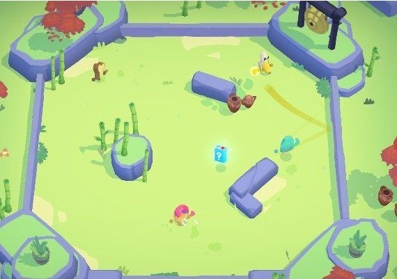 Boomerang Fu Deluxe Edition EN/DE/FR/IT/JA/KO/ZH/ES Canada Xbox One/Series Digital Key