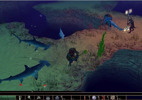 Neverwinter Nights: Pirates of the Sword Coast DLC EN Global Steam Digital Key