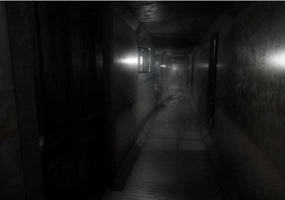 Gridberd EN/DE/FR/IT/ES Global Steam Digital Key