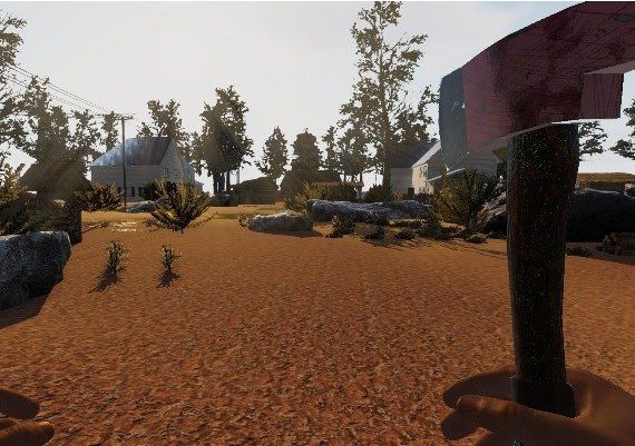 Liars Village Global Steam Digital Key