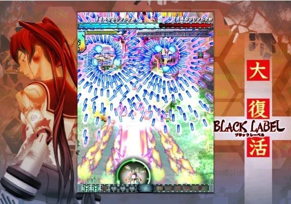 DoDonPachi Resurrection EN/JA Global Steam Digital Key