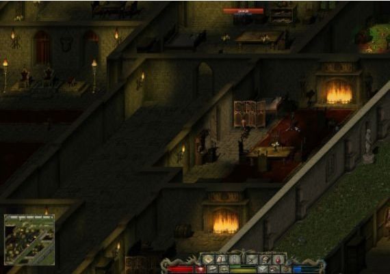 Divine Divinity EN/DE/FR/RU Global GOG Digital Key