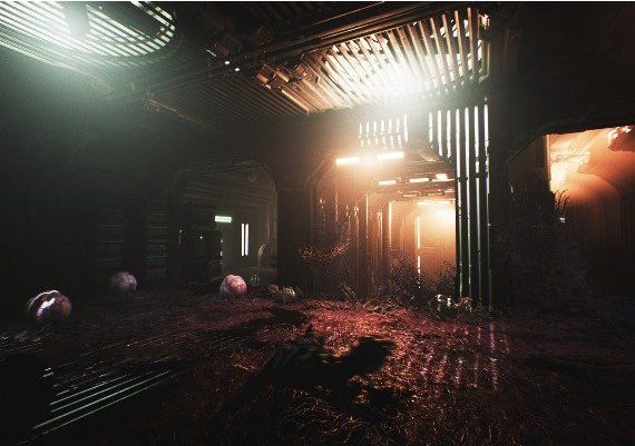 Nemesis: Distress EN Global Steam Digital Key