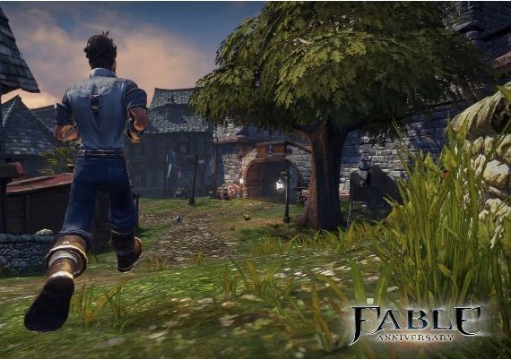 Fable Anniversary Global Steam Digital Key