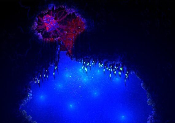 Carrion EN Global Steam Digital Key