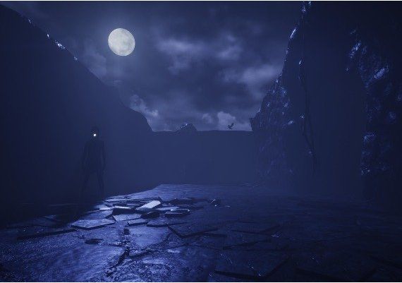 Sleeping Dawn EN/FR/IT/ES Global Steam Digital Key