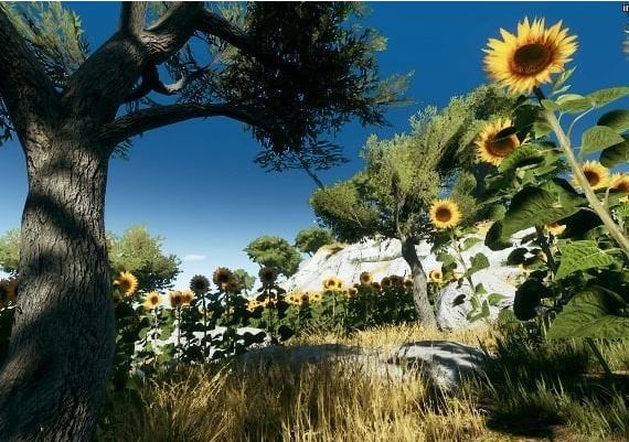 Die Young EN/DE/PL/PT/RU/ZH/ES/HU EU Steam Digital Key